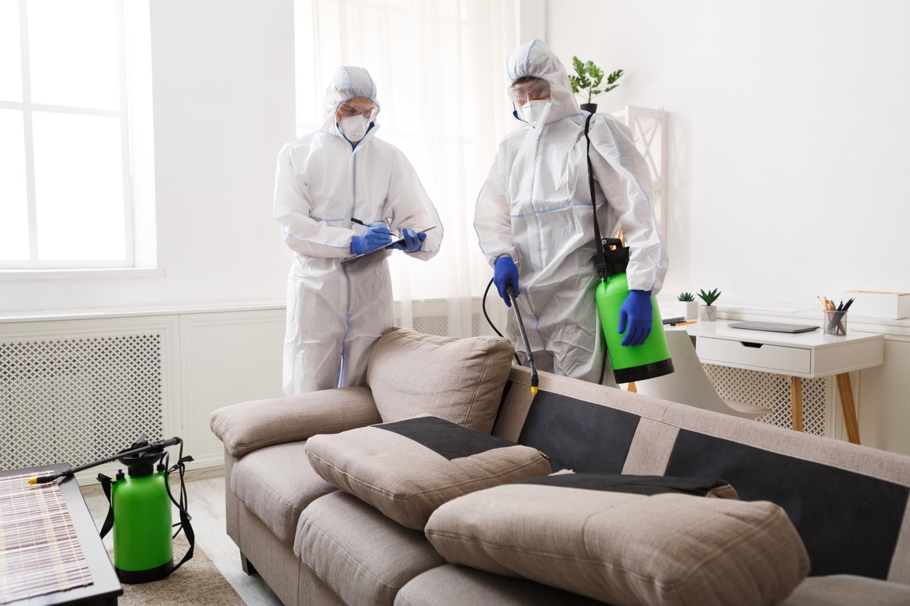 Two men in protective suits are disinfecting a living room.