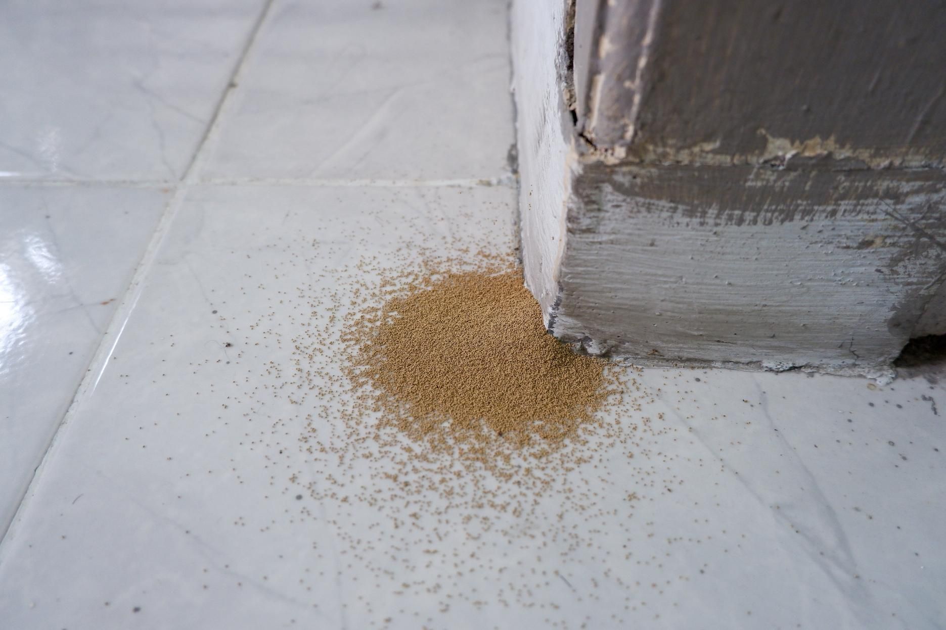 A pile of termites droppings on the floor next to a door.