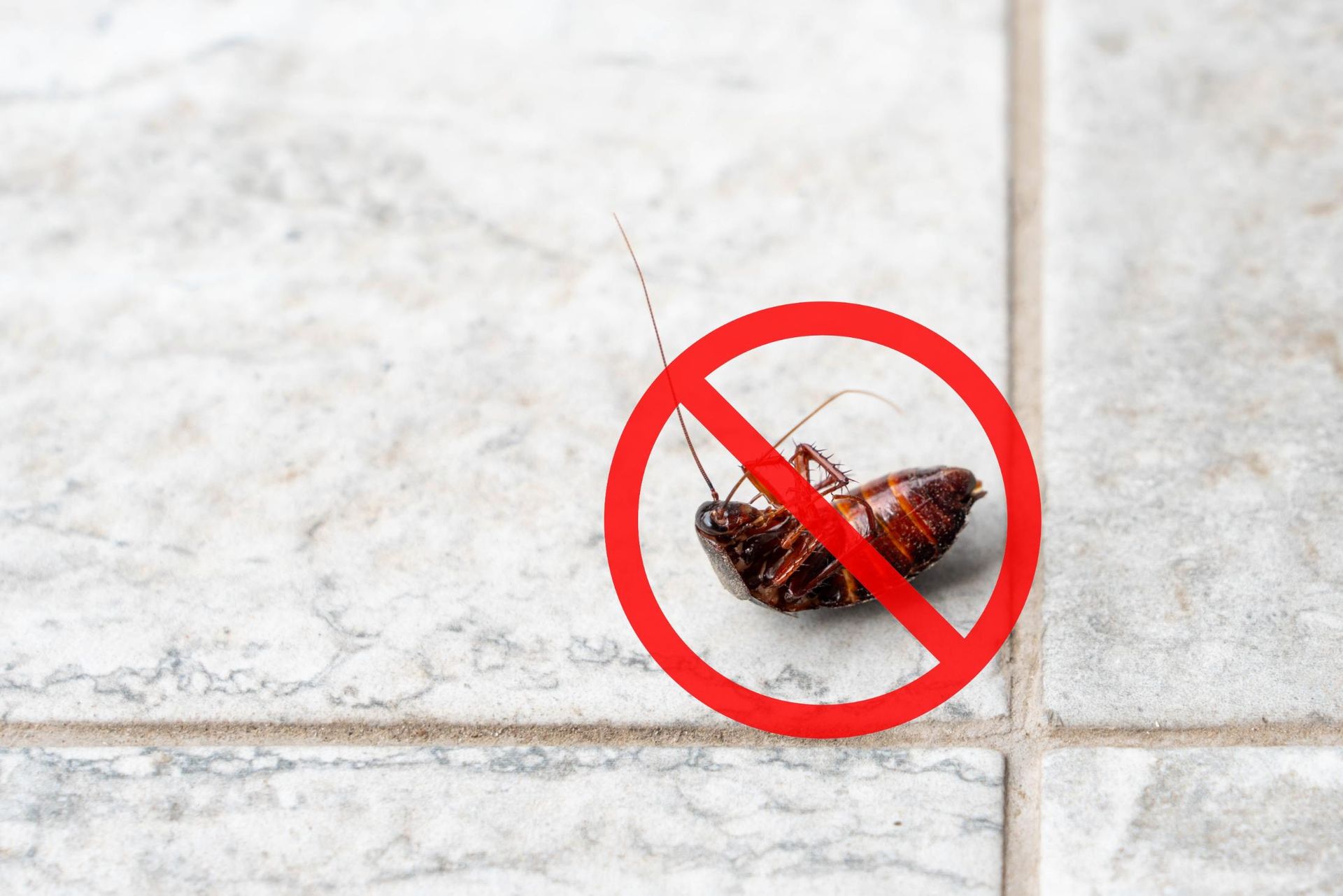 A cockroach is laying on the floor next to a no cockroach sign.
