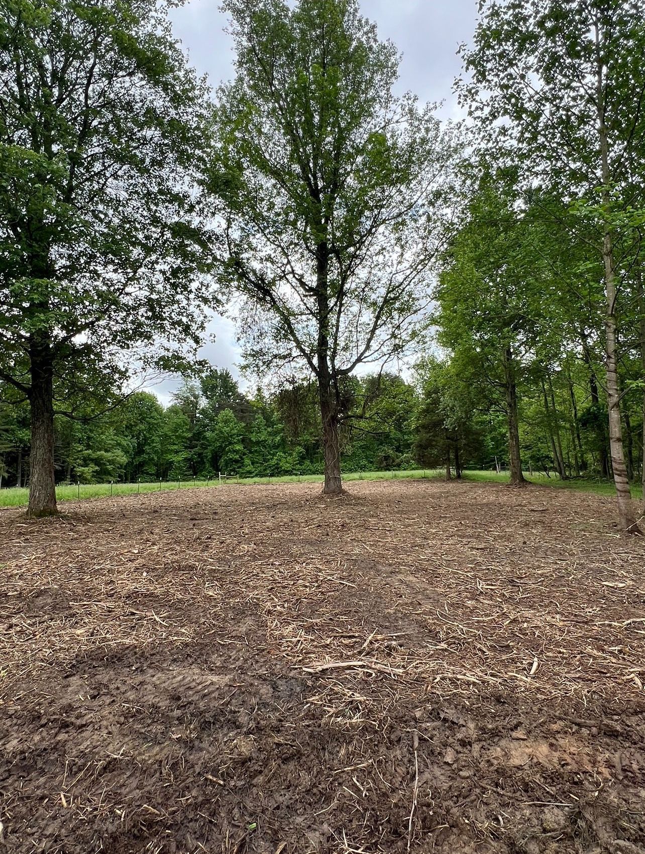 Forestry Mulching - Scottsburg, IN - Babbs Land Management LLC Forestry Mulching - Scottsburg, IN - Babbs Land Management LLC