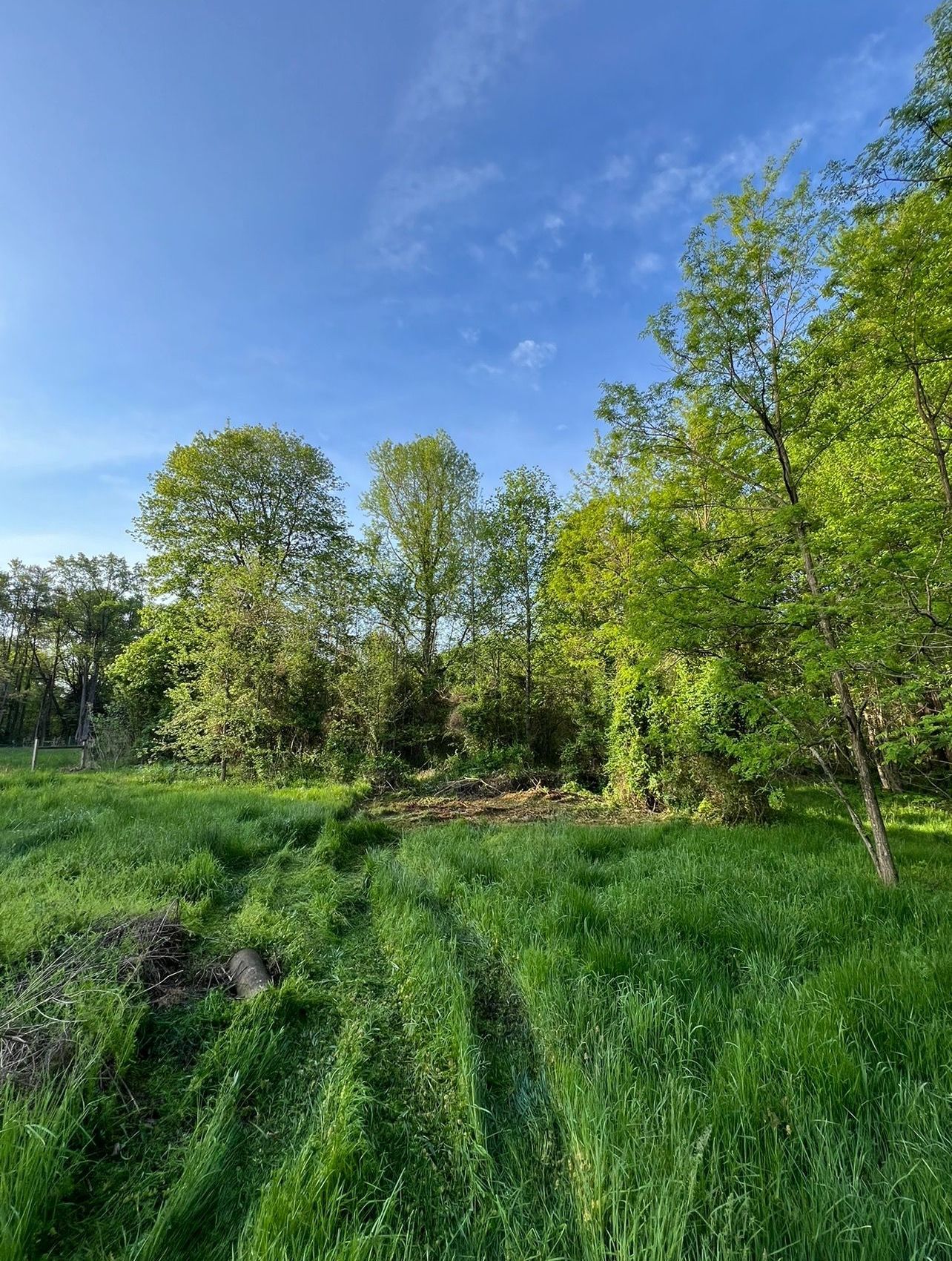 Forestry Mulching - Scottsburg, IN - Babbs Land Management LLC