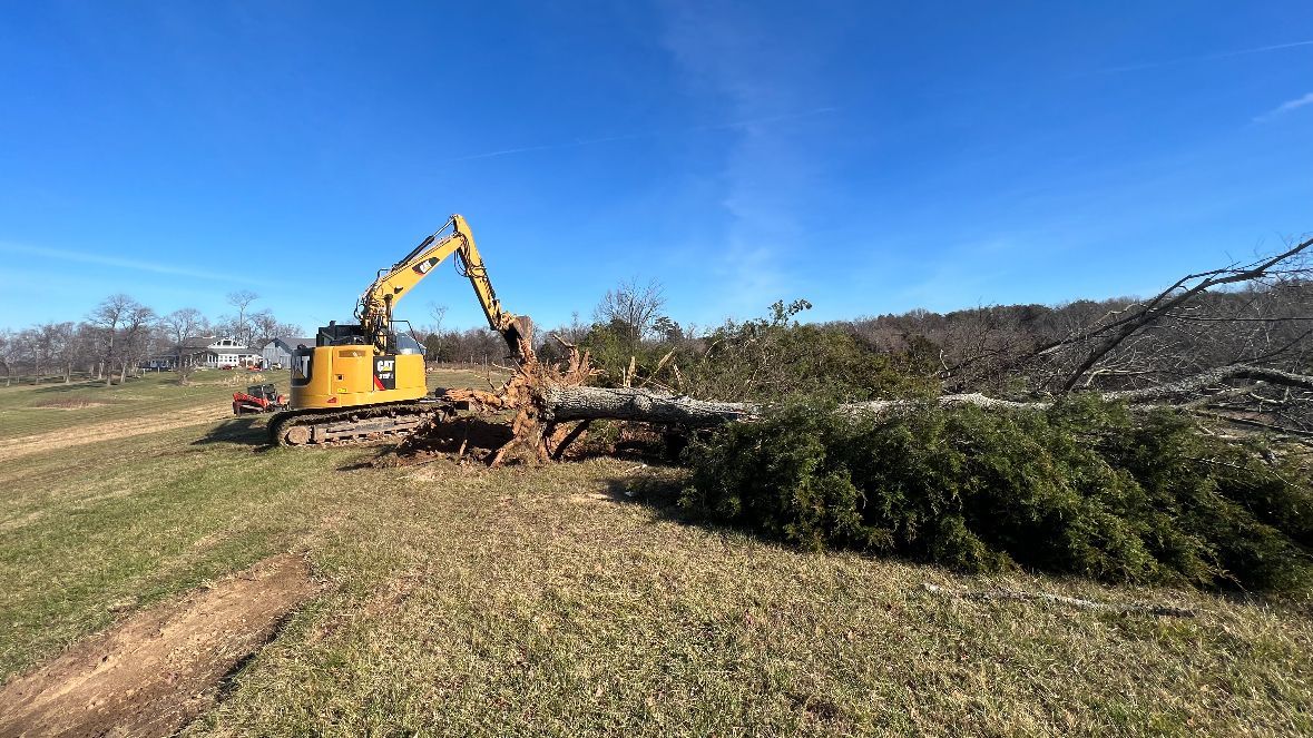 Bulldozer Cutting Down a Tree — Scottsburg, IN — Babbs Land Management LLC