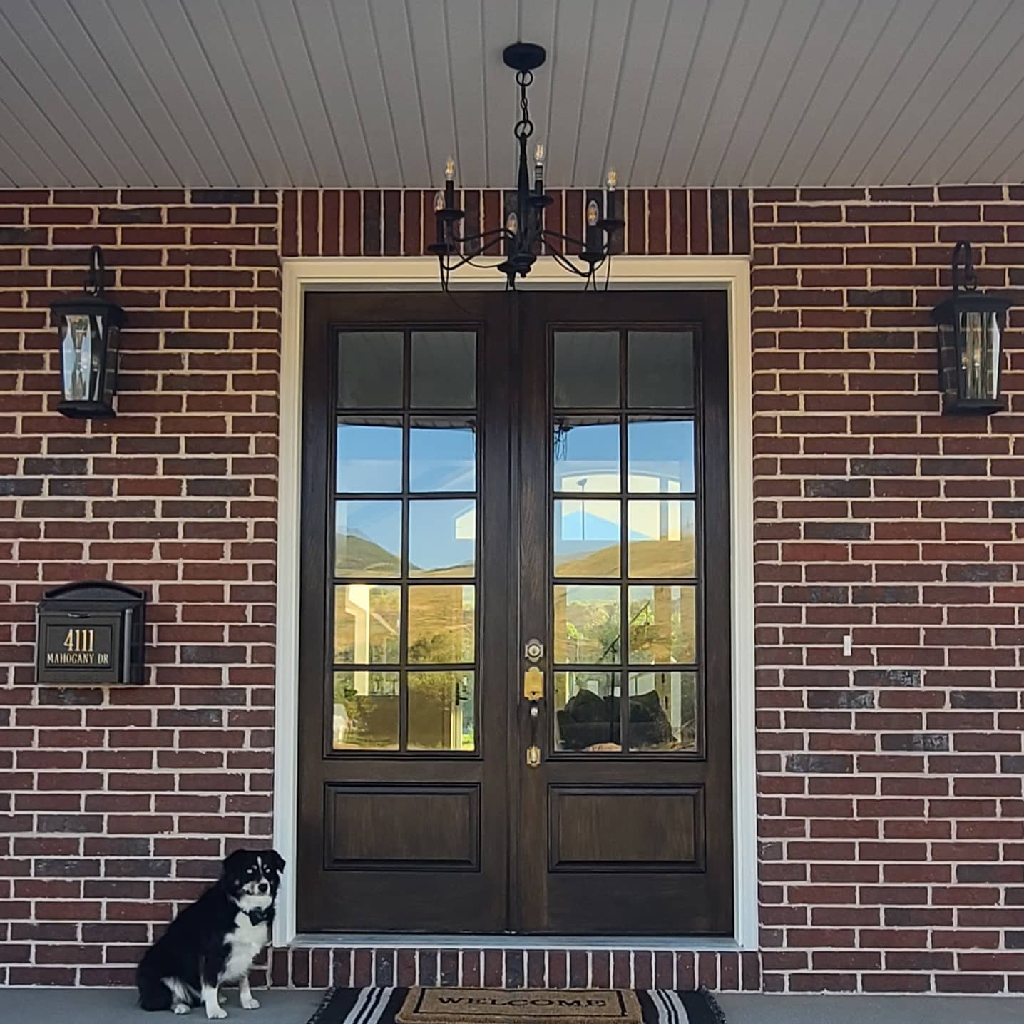 A small black and white dog sits on a porch before dark wood double front doors with windows, flanked by two wall lamps.