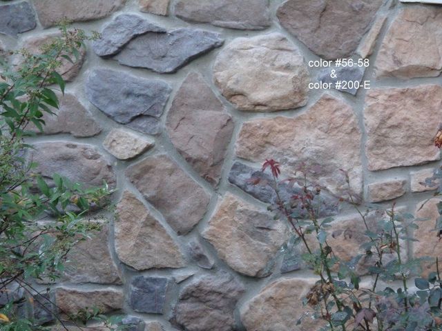 A Close up Of a Stone Wall with A Plant in The Background