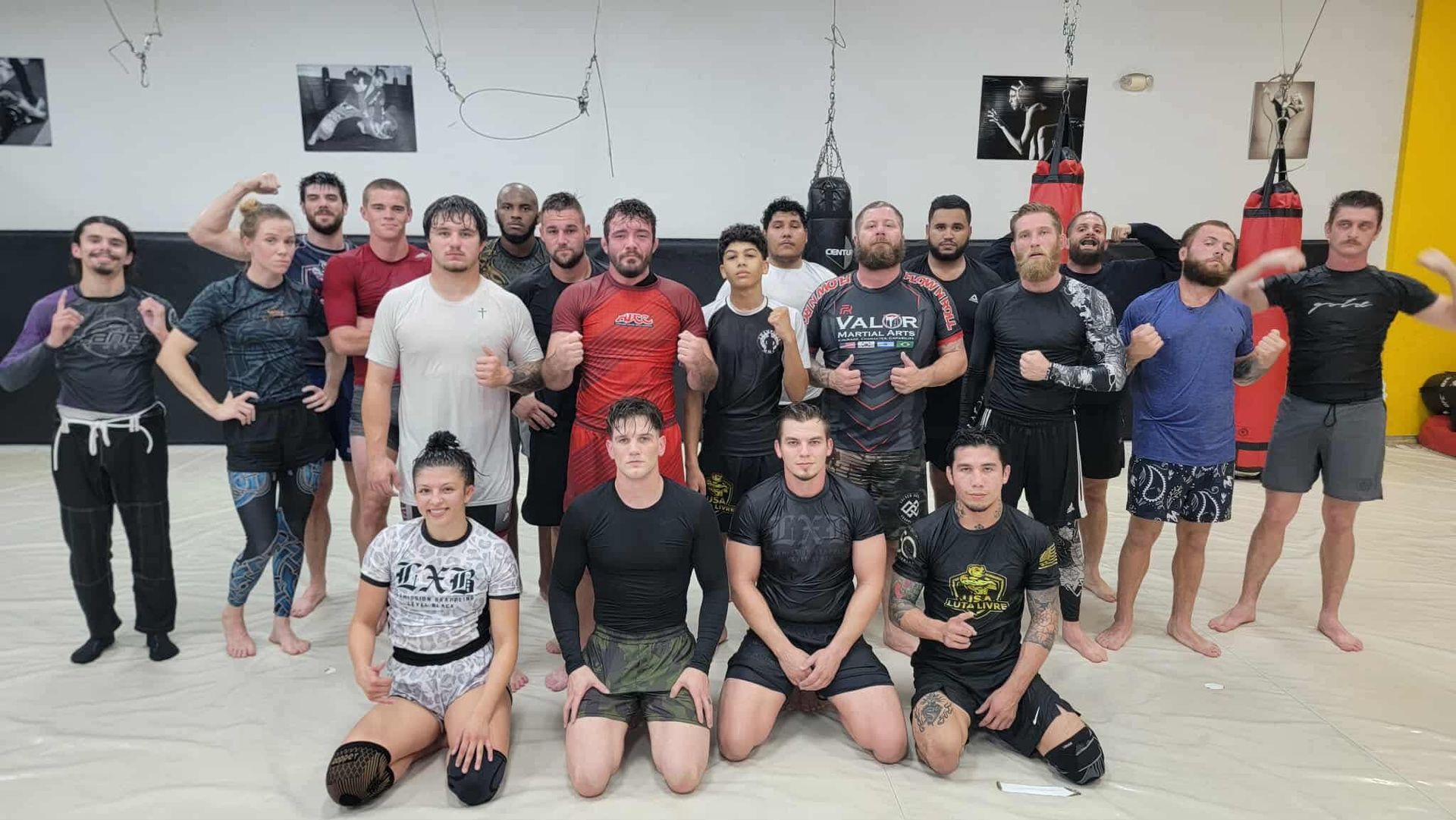 adult bjj