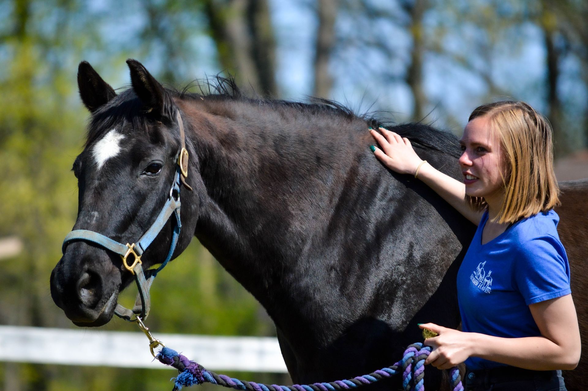 A woman in a blue shirt is petting a black horse.