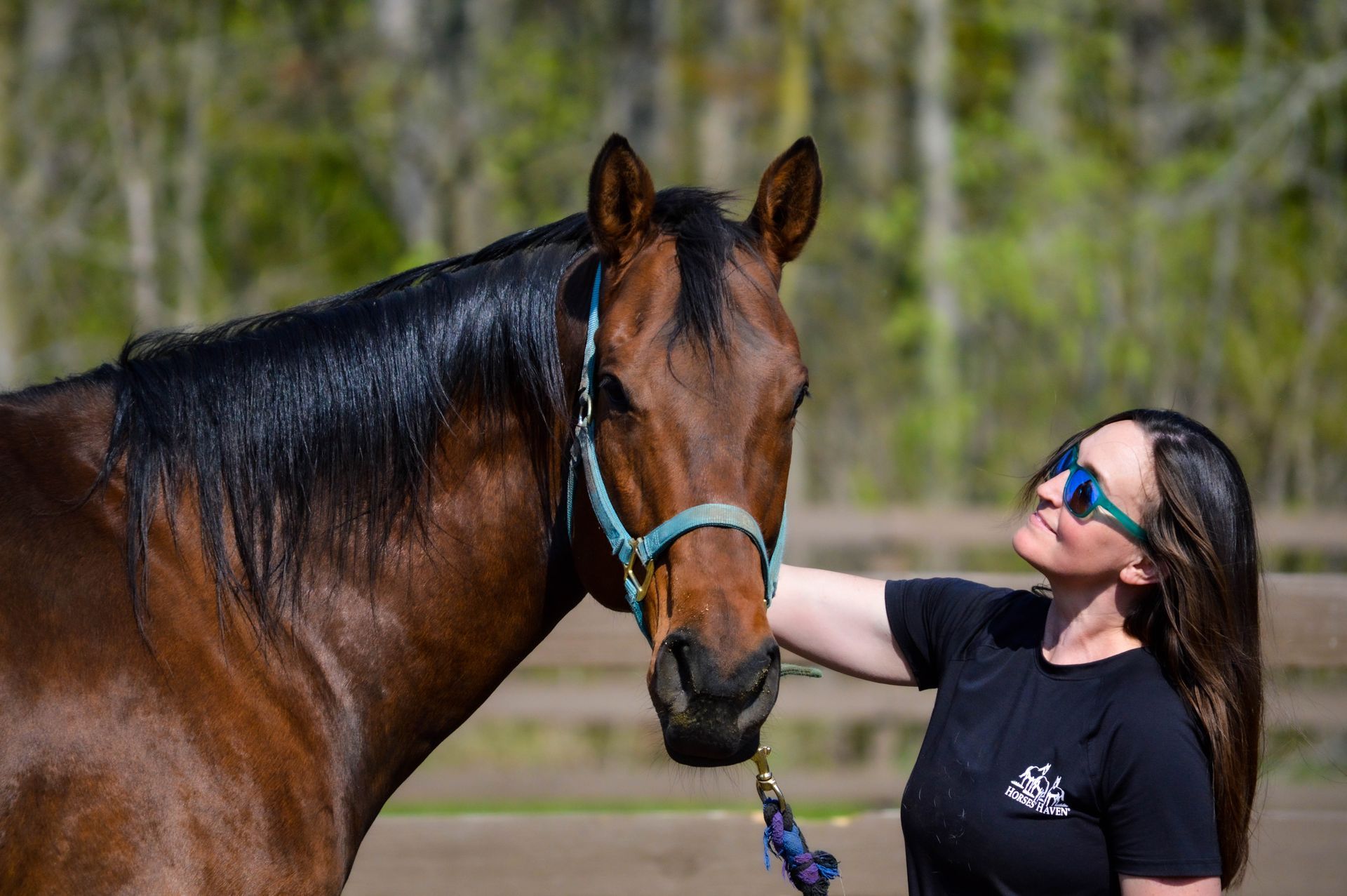 A woman is petting a brown horse in a fenced in area.