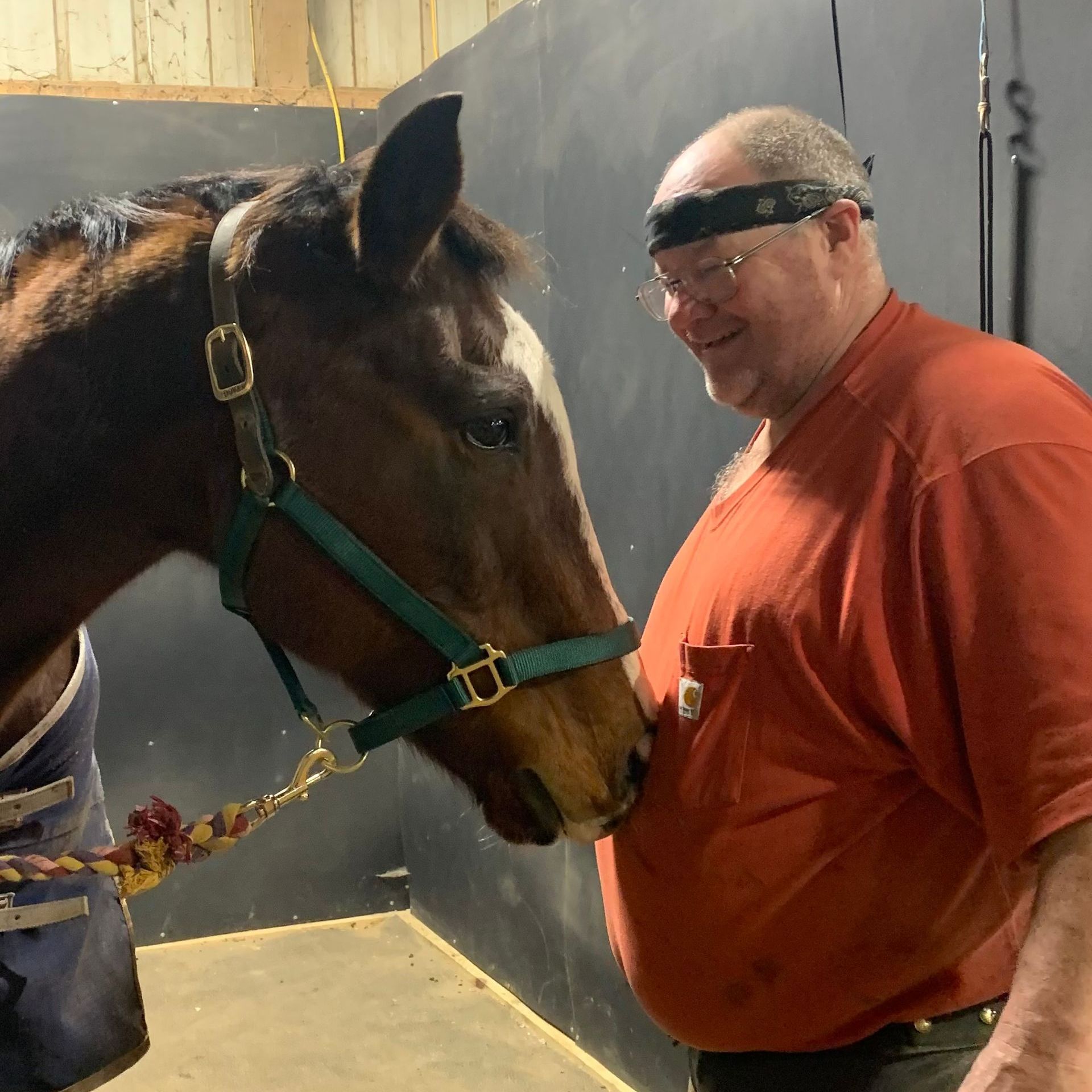 A man in an orange shirt stands next to a brown horse