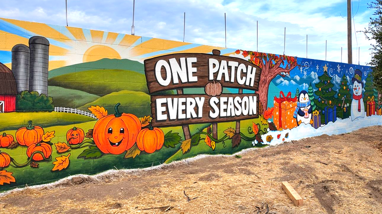 Child in orange dress standing among pumpkins at a pumpkin patch