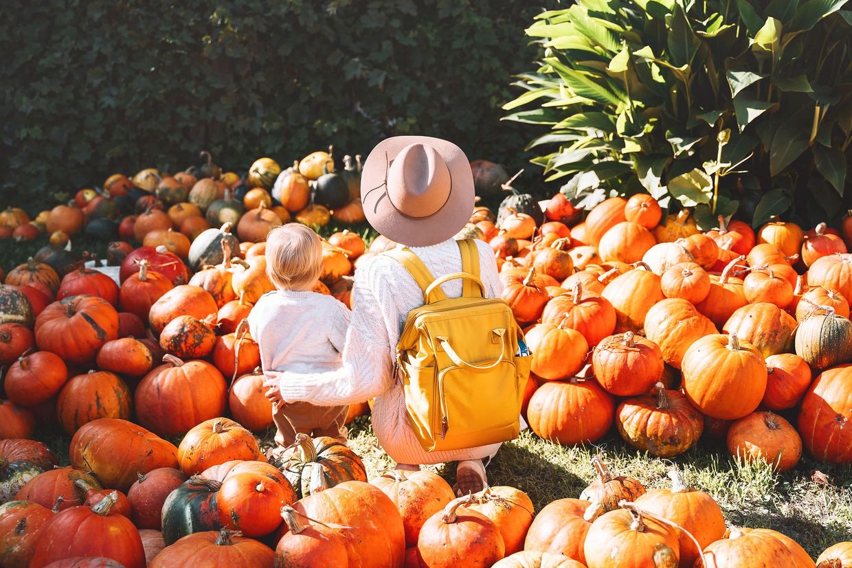 woman with yellow backpack sitting among pumpkins in a sunny field