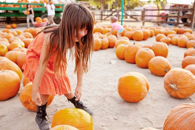 Child in orange dress standing among pumpkins at a pumpkin patch