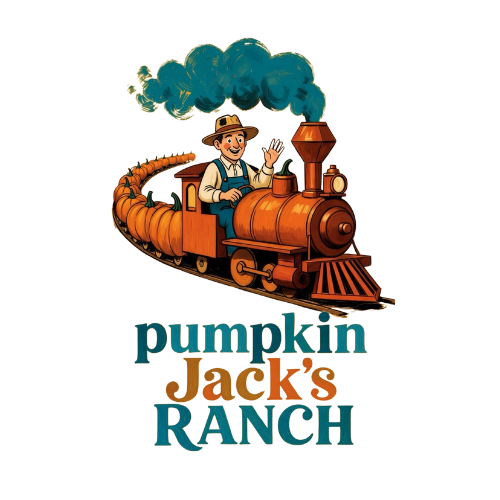 Pumpkin patch with many orange pumpkins on hay bales under a clear blue sky