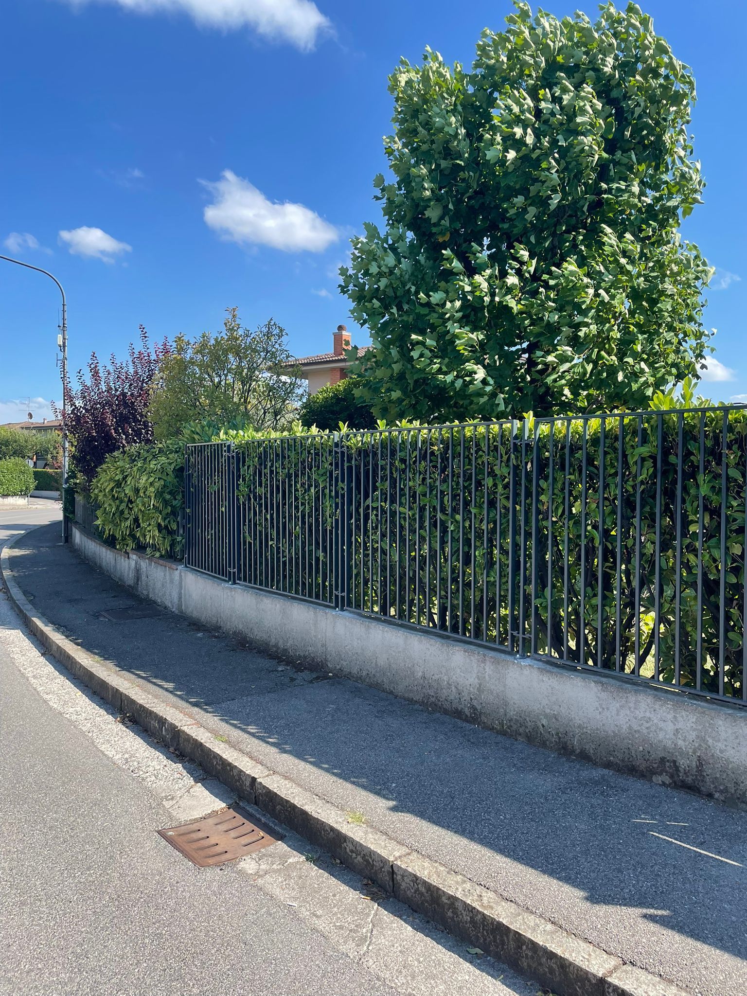 Via residenziale soleggiata con marciapiede, muretto basso e recinzione nera accanto ad alberi e arbusti verdi.