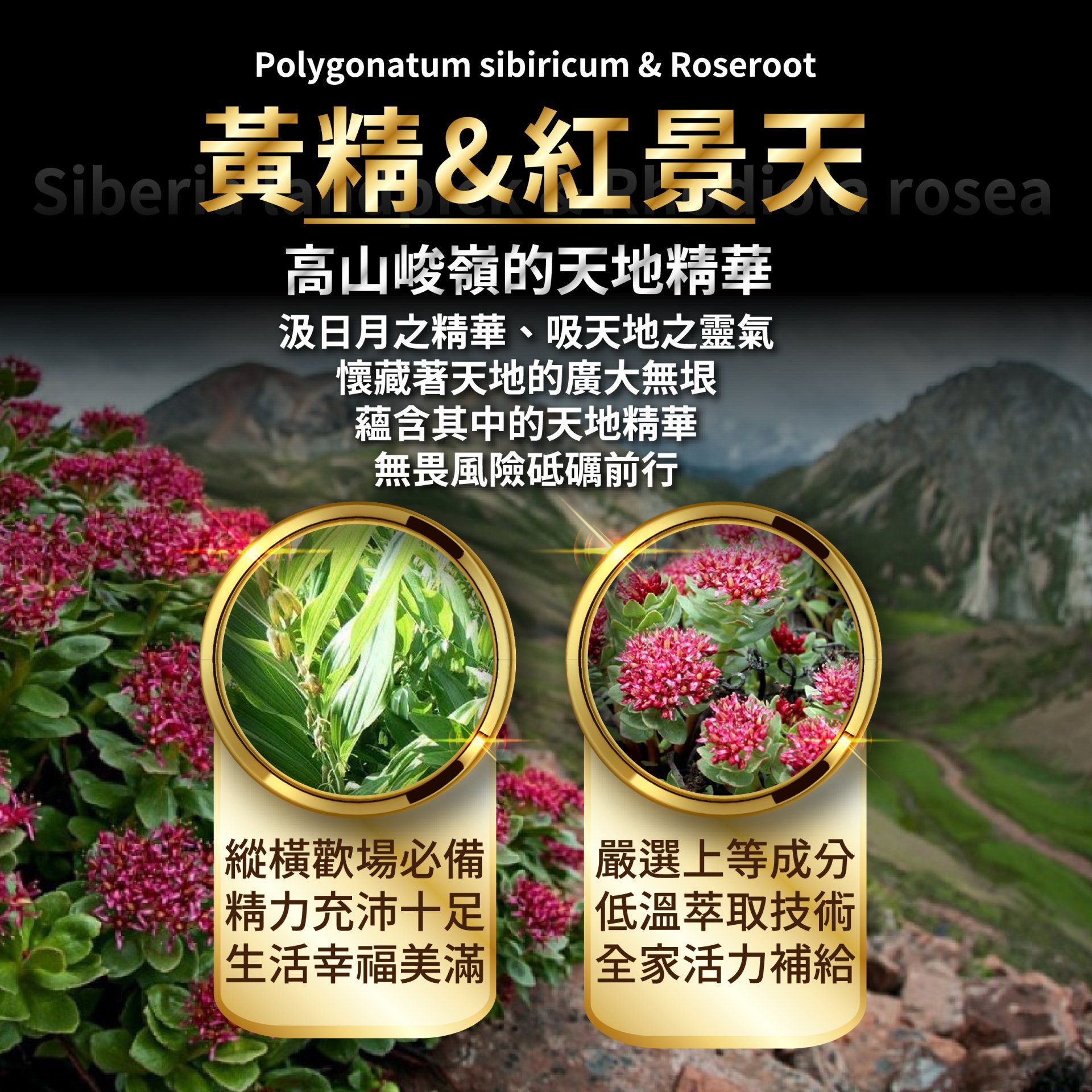 帝王精商品用途說明
