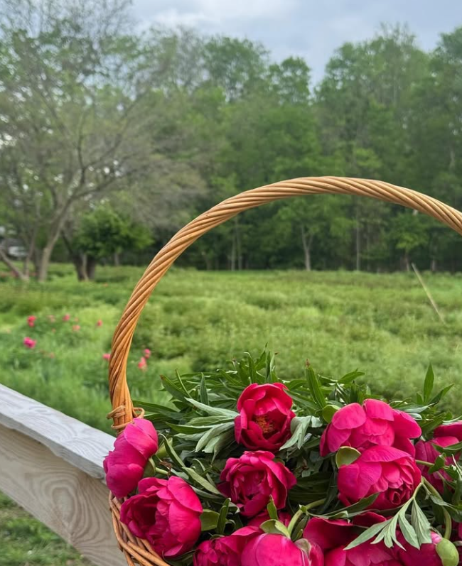Pink flowers in a woven basket on a wooden railing with a green field and trees behind.