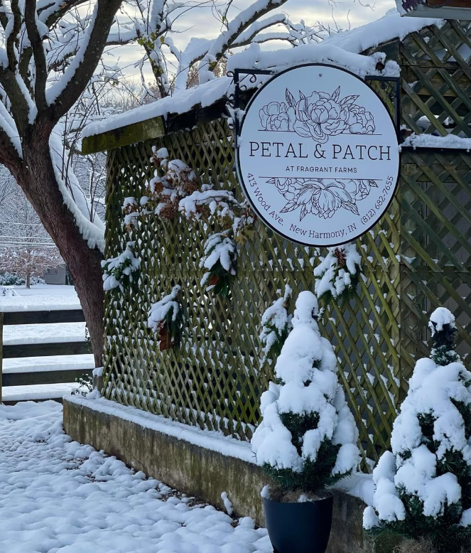 Snow-covered Petal & Patch garden shop sign on a lattice fence beside potted evergreens.