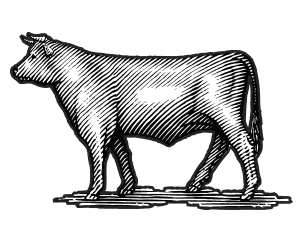 Icon for Beef