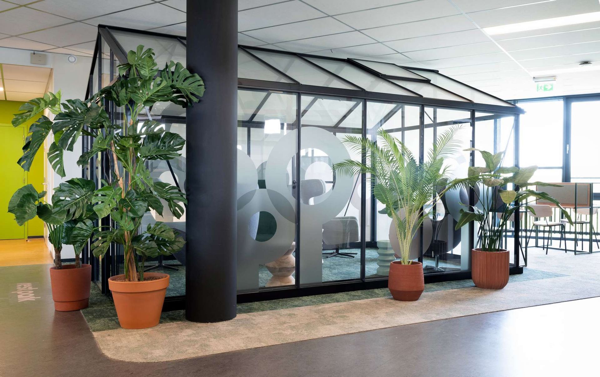 Een kas met potplanten erin, in een kamer.