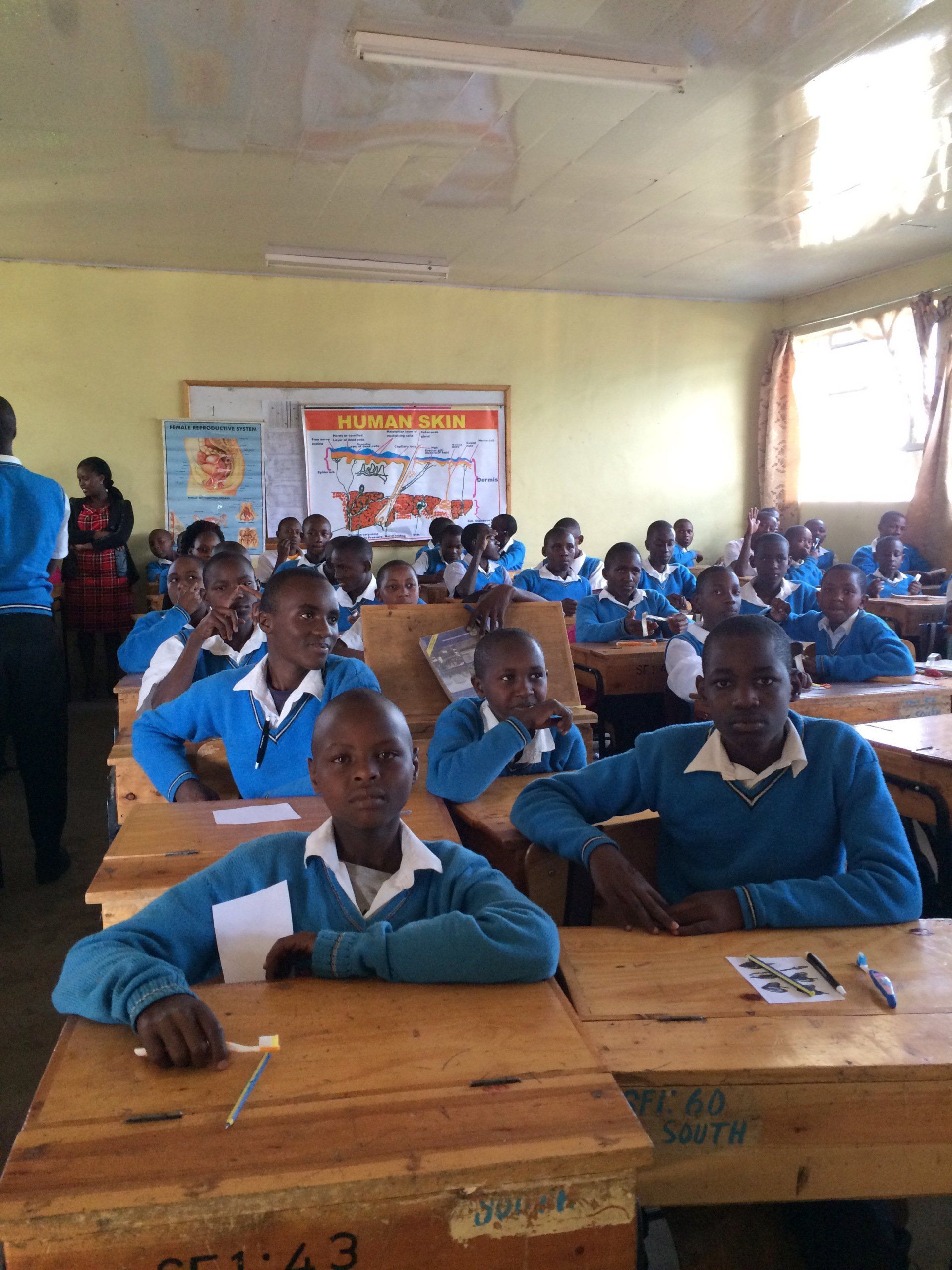 A group of children are sitting at their desks in a classroom