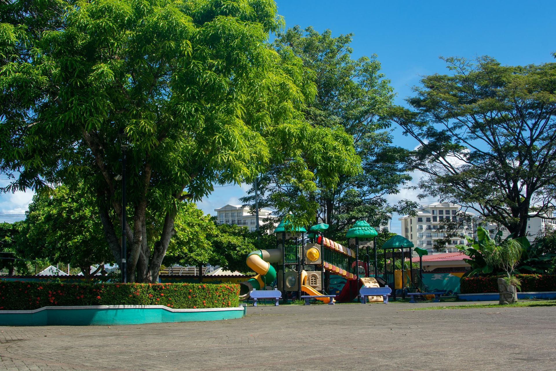 Johannes Dankers Park Jaco
