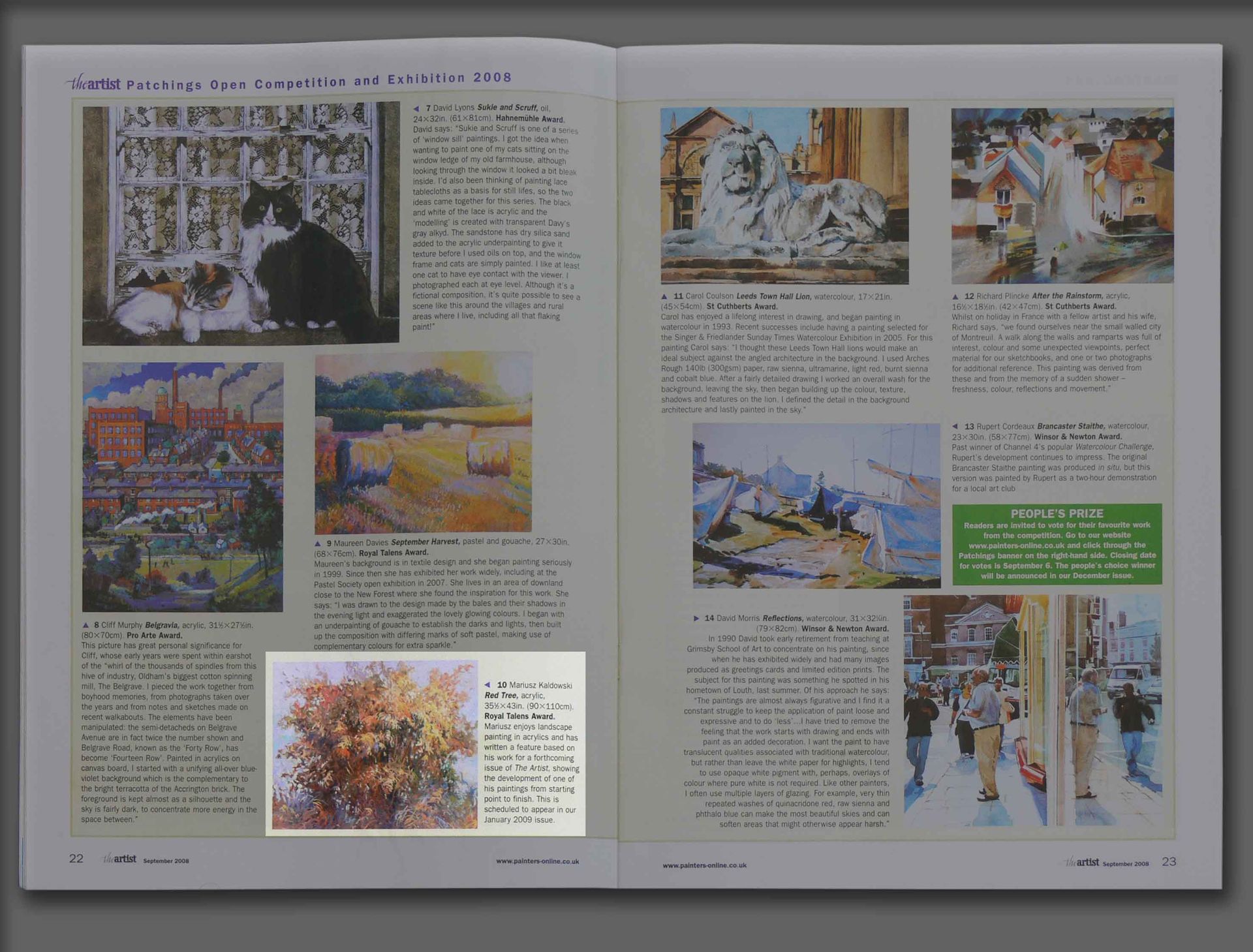 Article with information about Mariusz's Royal Talens Award in The Artist Magazine (2008)