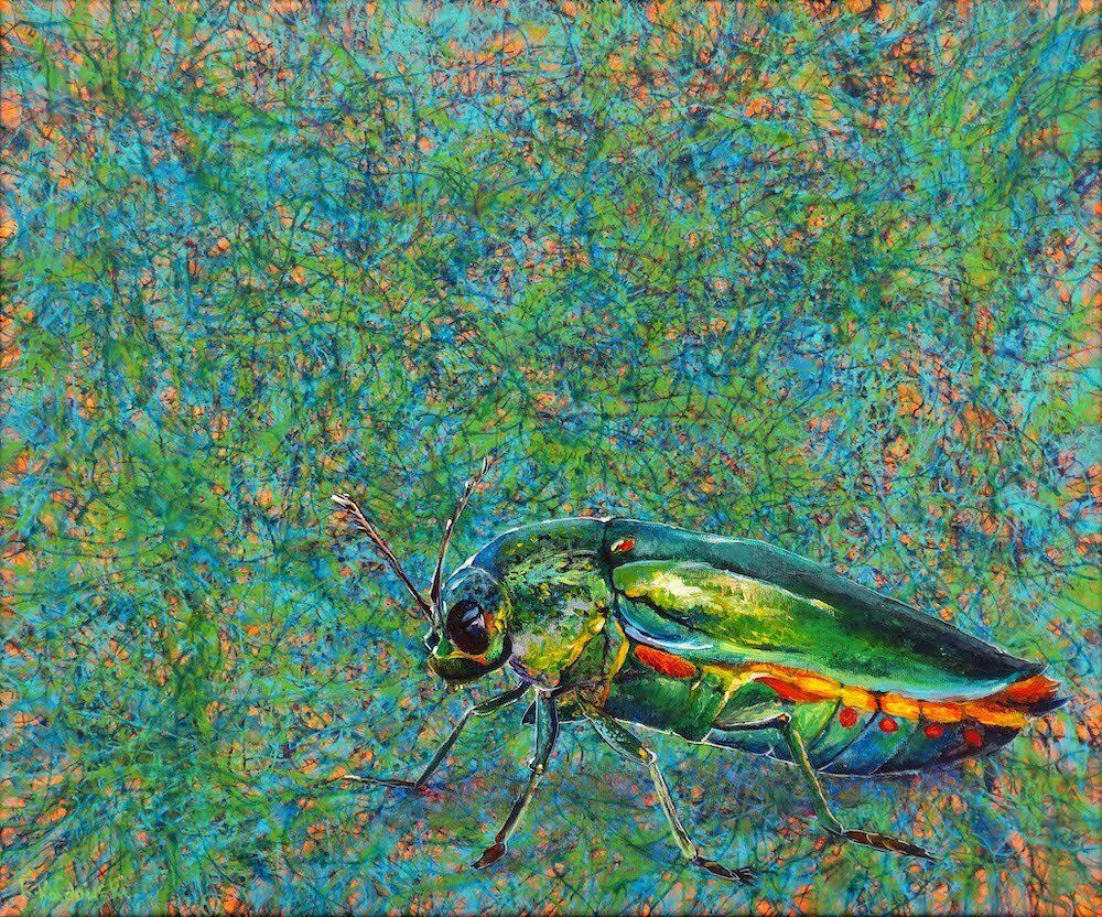 Painting of a jewel beatle on an abstract background by Kasia Kaldowski