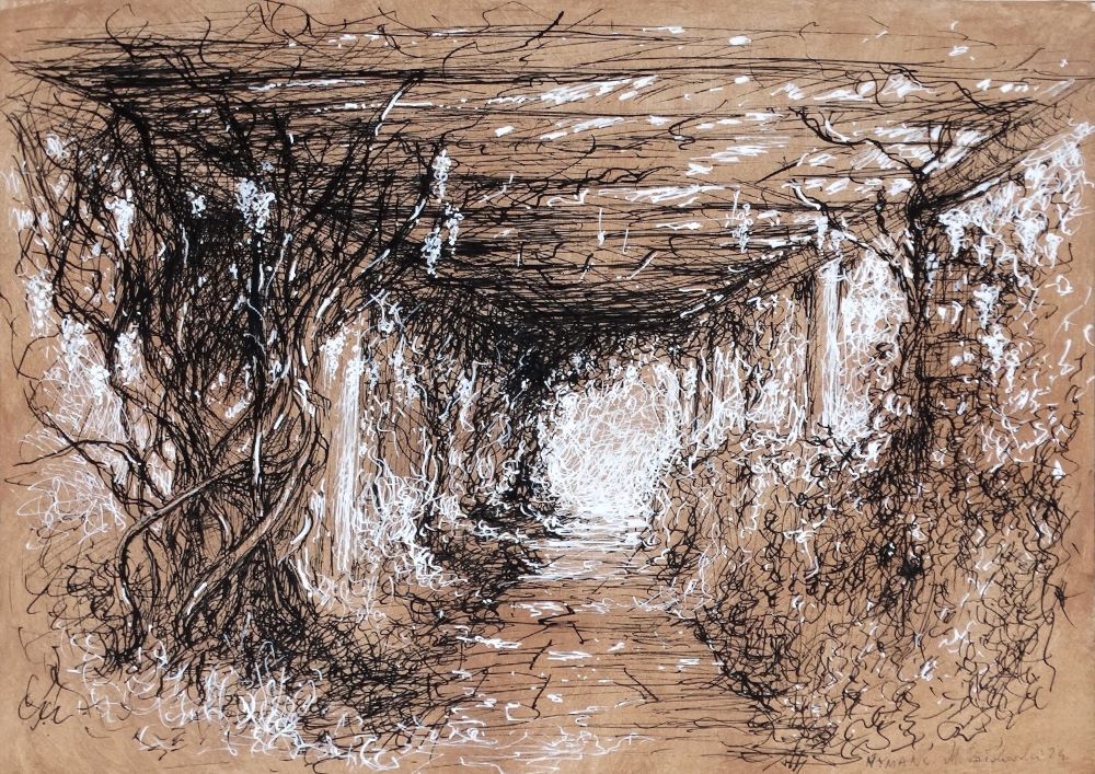 Nymans 2024 pen and ink drawing by Mariusz Kaldowski, inspired by National Trust gardens, wisteria walk at the park