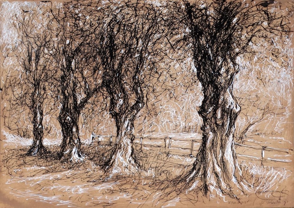 Nymans 2024 pen and ink drawing by Mariusz Kaldowski, inspired by National Trust gardens, three lime trees at the park