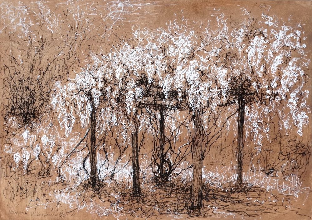 Nymans 2024 pen and ink drawing by Mariusz Kaldowski, inspired by National Trust gardens, wisteria pergola at the park
