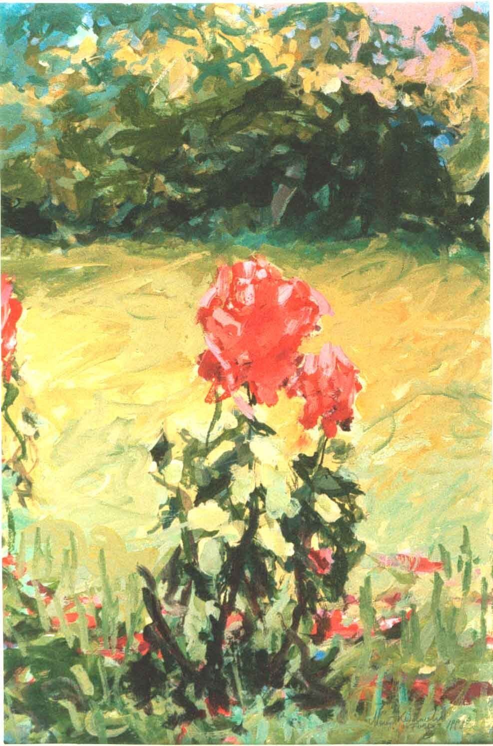 Miscellaneous archive expressionist work of garden rose by Mariusz Kaldowski