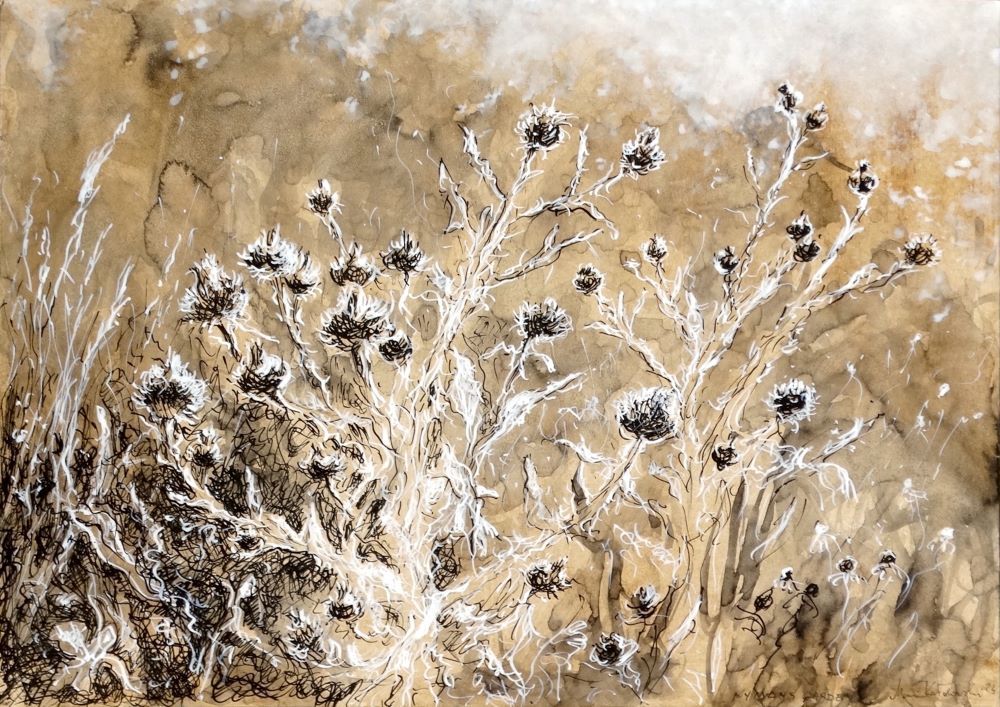 Nymans 2024 pen and ink drawing by Mariusz Kaldowski, inspired by National Trust gardens, thistle at the park