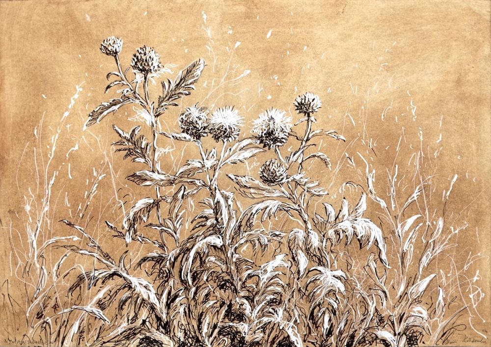 Nymans 2024 pen and ink drawing by Mariusz Kaldowski, inspired by National Trust gardens, flowers at the park