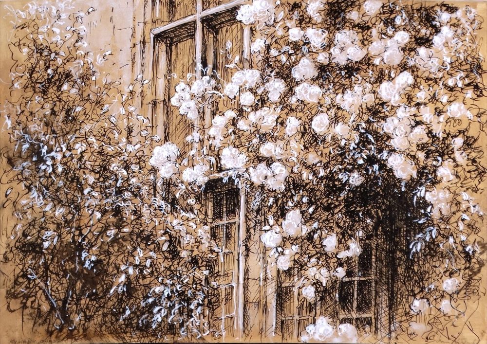Nymans 2024 pen and & drawing by Mariusz Kaldowski, inspired by National Trust gardens, climbing roses and the house.