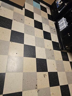 UC Woods Floors