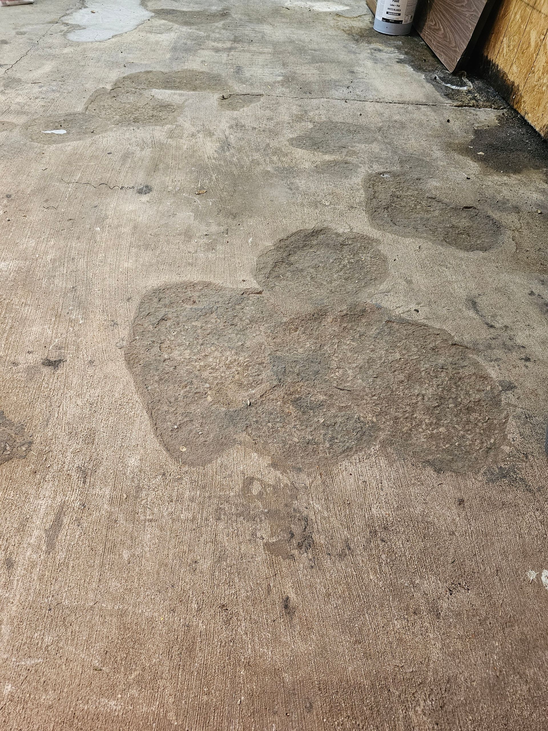 UC Woods Epoxy