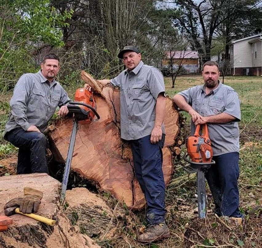 Three individuals in grey uniforms and work pants stand with chainsaws near a large, freshly cut tree stump outdoors.