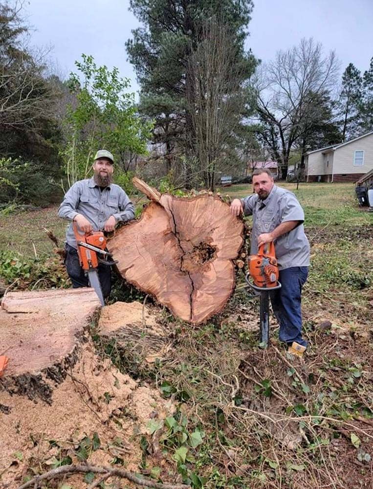 Two people stand outdoors with chainsaws beside a massive, freshly cut tree stump in a yard.
