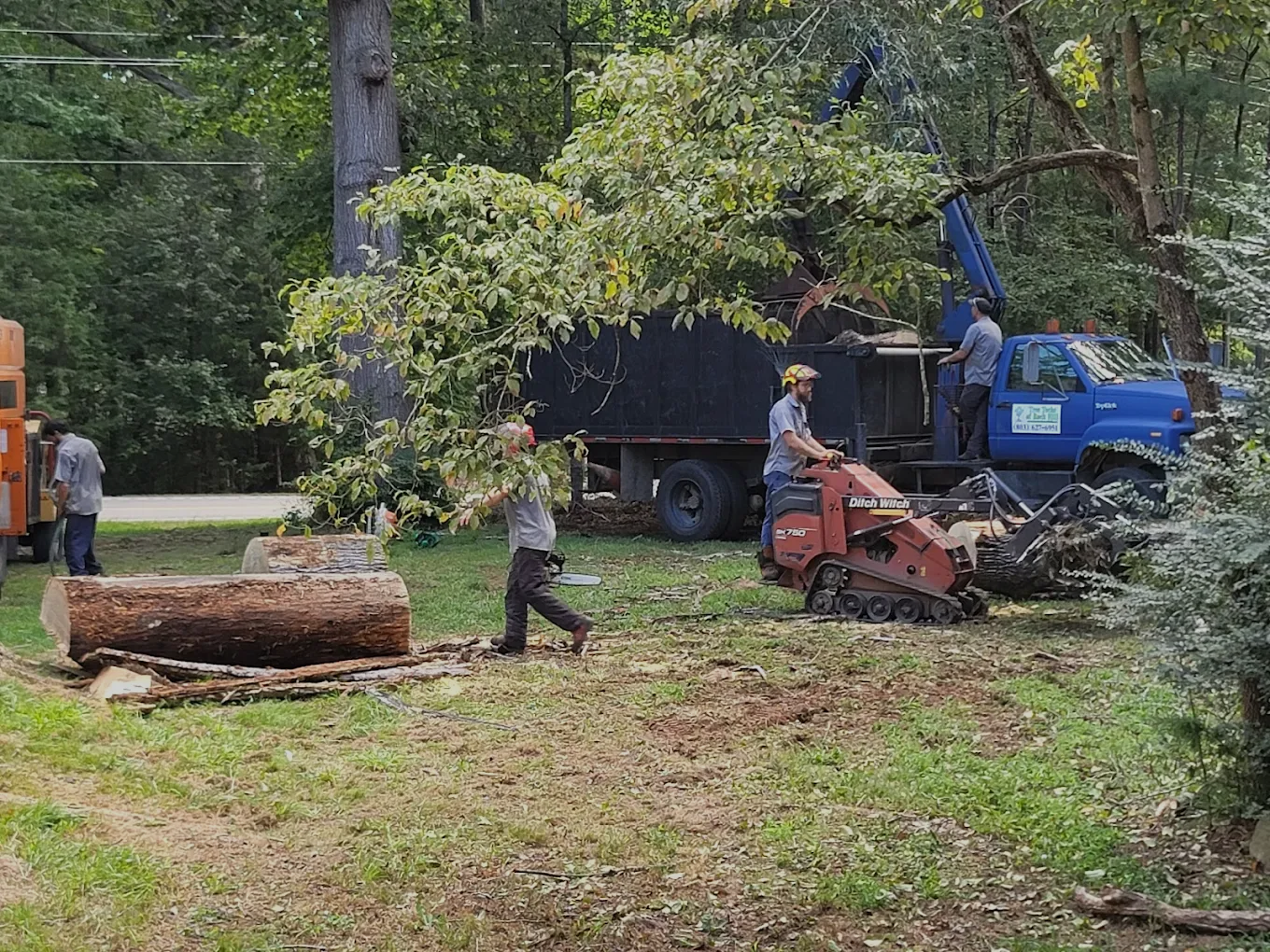 Workers clear a wooded yard with a blue wood chipper, trailer, and logs.