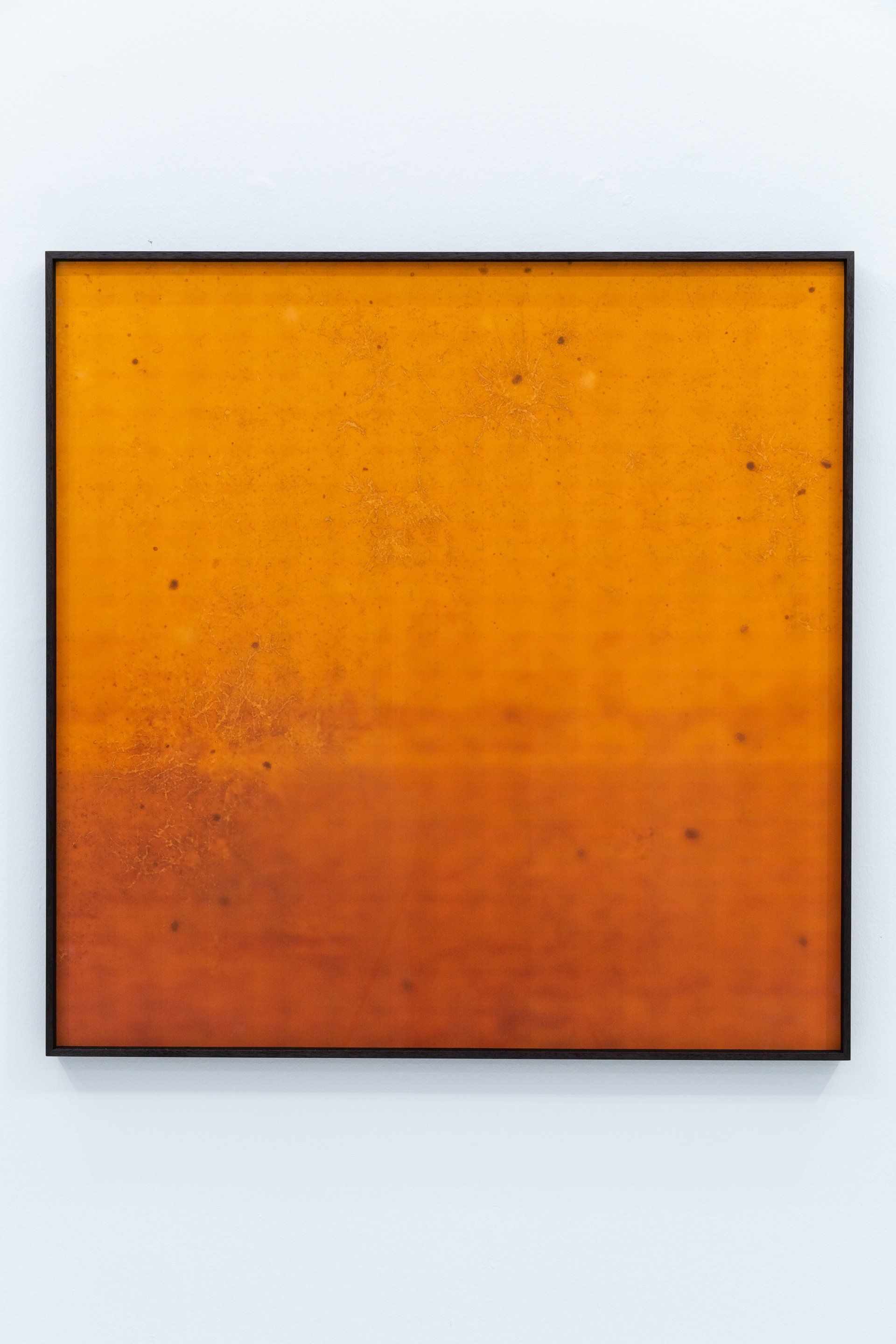 Untitled (seascape)(2022)