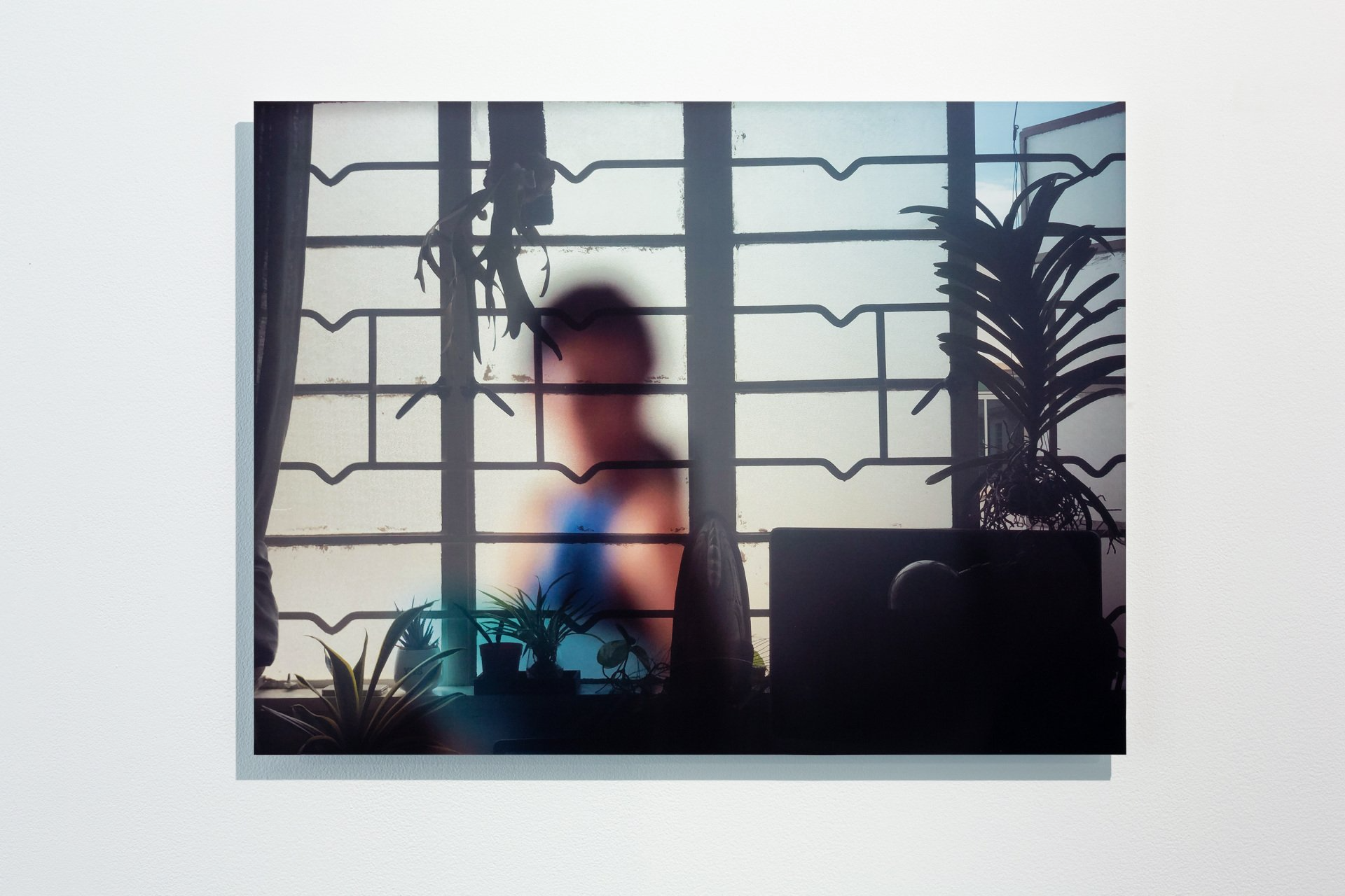  Untitled (The Other Shore), Lohas Park, 2015. Fujifilm RVP100F slide film (Kodak E100VS slide film discontinued), 120mm. 2020. 45x60cm. Digital c-print. Installation view. Photograph by Jessica Maurer. 
