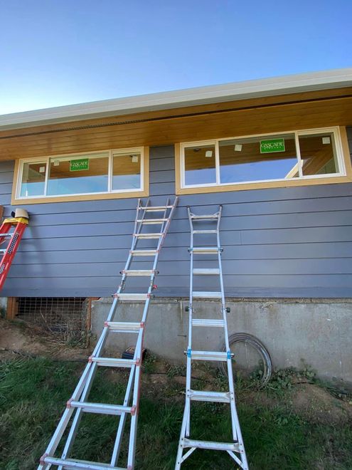 Two extension ladders lean against a gray house under windows with green signs.
