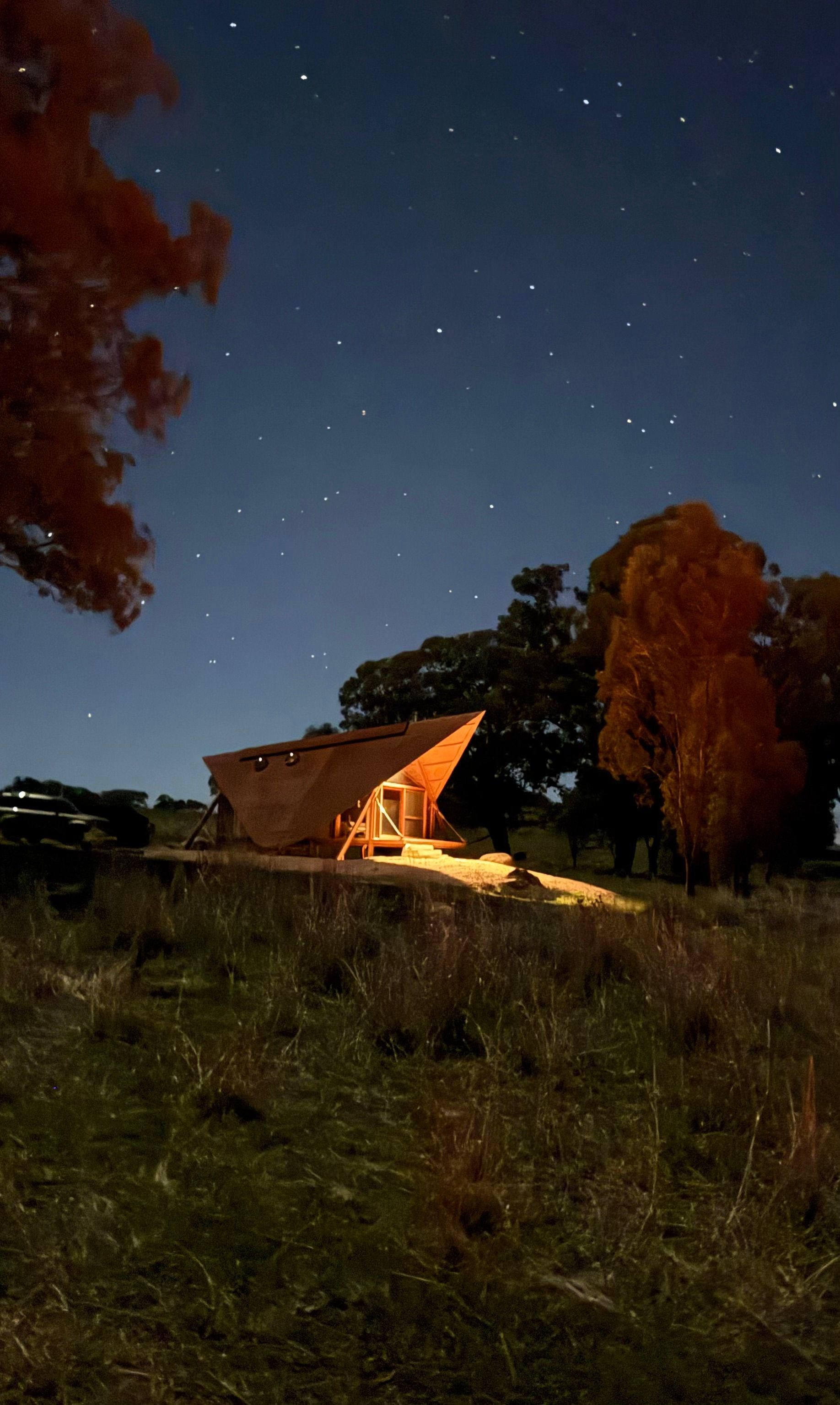 A cabin glows under a starry night sky, flanked by trees with reddish leaves on a grassy hill — SJD Electrical Contracting in Bathurst, NSW