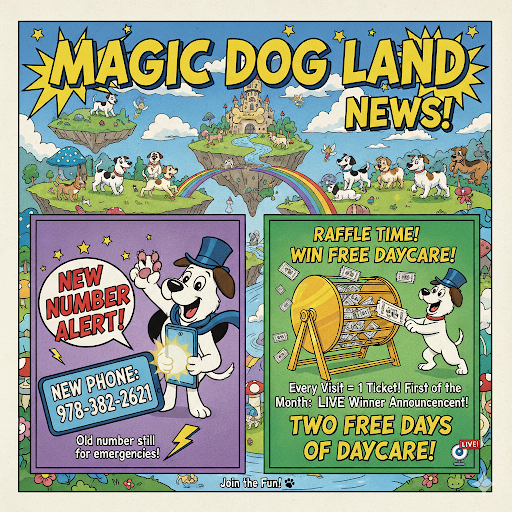 Magic Dog Land News flyer with cartoon dog, New Number alert, and raffle for free daycare.