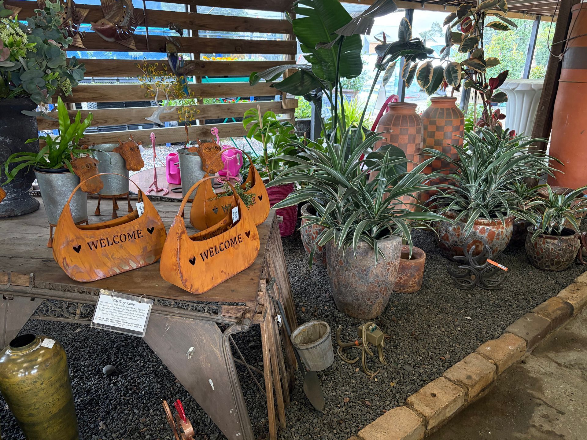 Potted plants and painted pumpkin planters in a small outdoor garden display — Hunter Valley Plant Market in Nulkaba, NSW