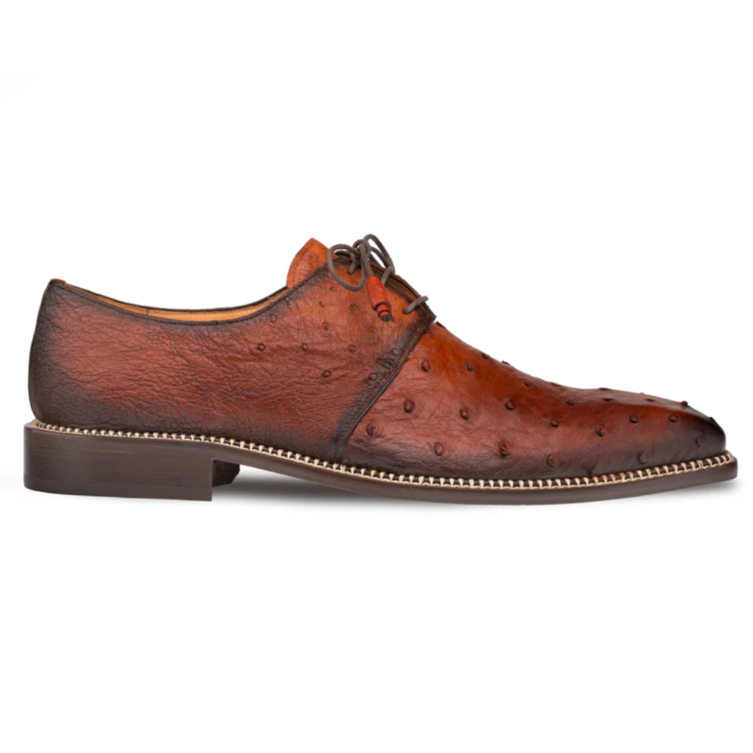Tillson Ostrich Derby