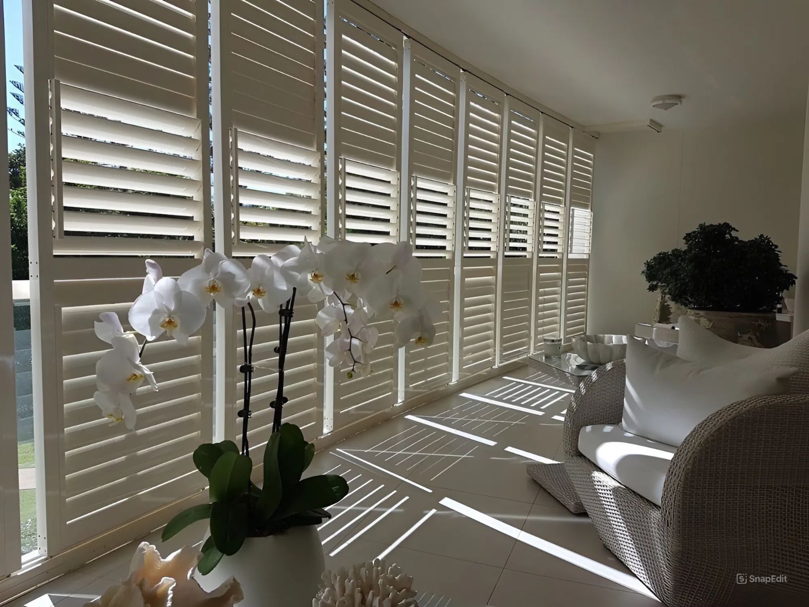 A Living Room With White Shutters And A Potted Plant — Balcony Shutters Australia In Brisbane, QLD