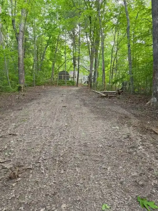 Dirt driveway through green woods leading to a small house at the end.