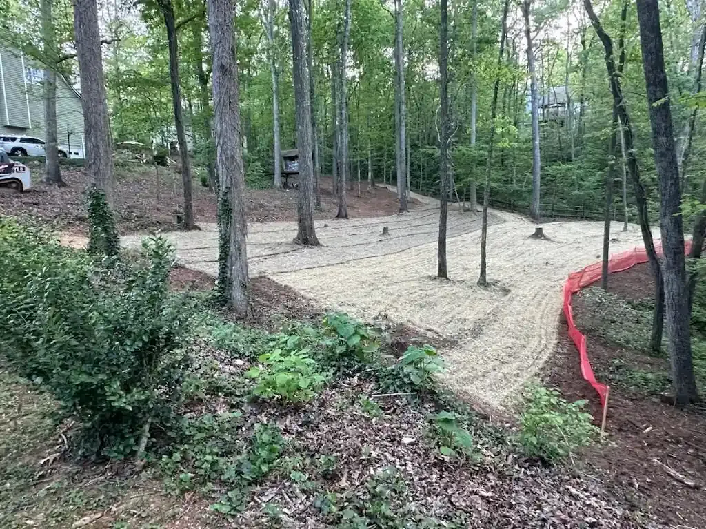 Wooded hillside with a sandy cleared path and red erosion barrier along the right side.