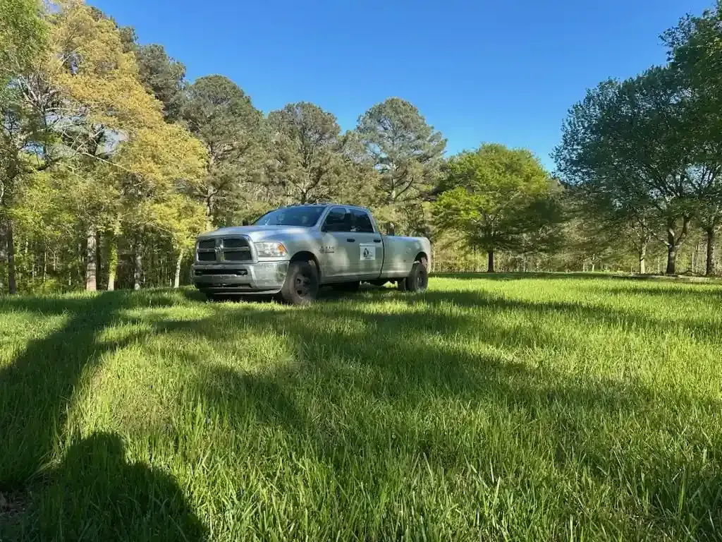 Silver pickup truck parked on a grassy field with trees under a clear blue sky