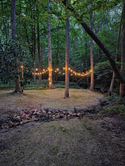 String lights glow across a wooded clearing at dusk, with tall trees and a grassy foreground.